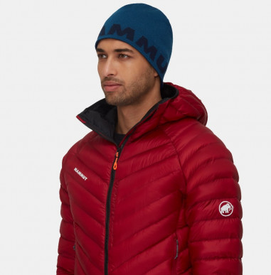 ( 1191-04891 ) Mammut Logo Beanie 2025