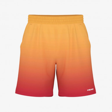 ( 811664 ) POWER II Shorts Men 2024