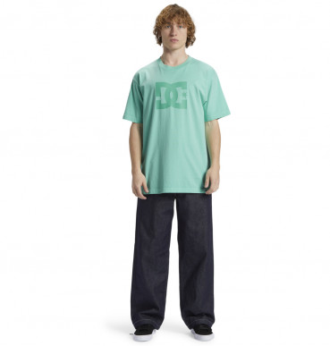 ( ADYZT05374 ) DCSTAR PIGMENT TEES 2024