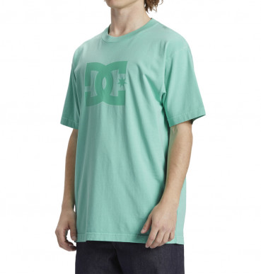 ( ADYZT05374 ) DCSTAR PIGMENT TEES 2024