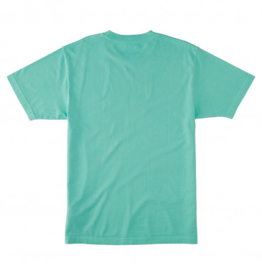 ( ADYZT05374 ) DCSTAR PIGMENT TEES 2024