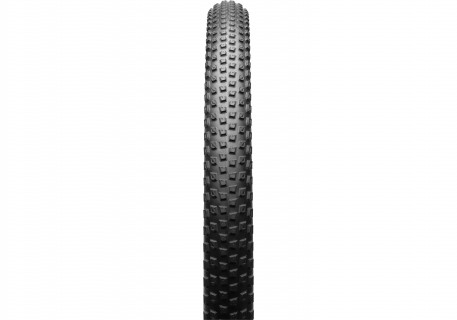 SW RENEGADE 2BR TIRE 29X2.1 2021
