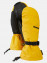 Goldenrod