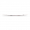 ILLUSION 2025