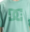 ( ADYZT05374 ) DCSTAR PIGMENT TEES 2024