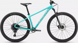 Specialized rockhopper xl 2025