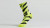 HYP LIGHTNING