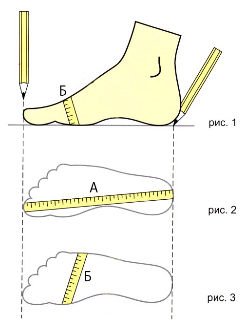 Как определить размер ноги для кроссовок