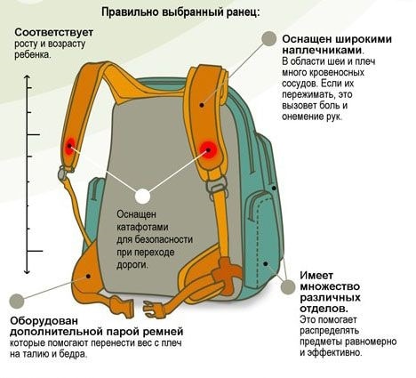 требования к школьным рюкзакам