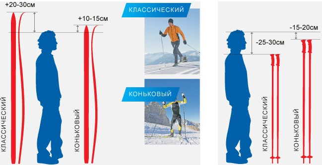Класические и коньковые беговые лыжи - различия - фото, картинка